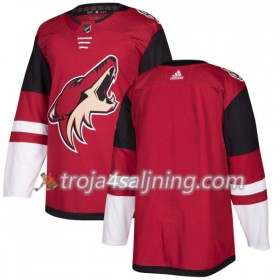 Arizona Coyotes tröja Blank Adidas 2017-2018 Maroon Authentic - NHL Tröjor Herr
